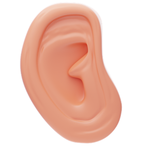 Children's English Level 0 #29, Body Parts